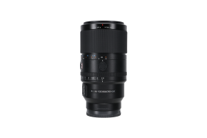 Sony FE 100 / 2.8 Macro GM OSS