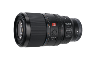 Sony FE 100 / 2.8 Macro GM OSS